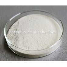 Factory supply Food grade Phenylalanine